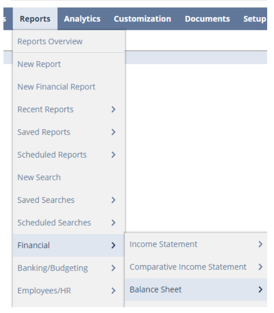zonereporting_how_to_ns_validation_balance_sheet_1.png